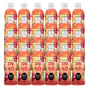 웰그린) 자두녹차제로, 500ml, 24개
