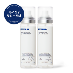 셀라딕스 스킨 밸런싱 pH 5.5 토너 미스트 여드름 속건조 피부진정, 120ml, 2개