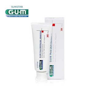 검 덴탈겔에스이 치약, 65g, 1개