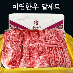 이연한우 1++ 투뿔 구이용 한우선물세트 달세트(등심+살치+갈비살), 1개, 2kg