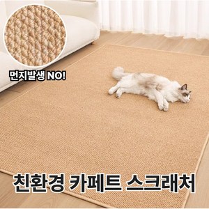 [집사 필수템] 벤스투 친환경 고양이 카페트 스크래쳐, 1개, 다크브라운