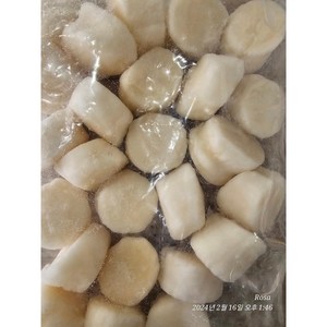 냉동 가리비관자살(게아지살) 1kg (중국산), 1개