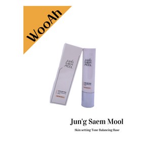 정샘물 스킨 세팅 톤 밸런싱 메이크업 베이스 40ml, 1개