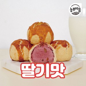 베비에르 전국 마왕파이 선물세트 _ 딸기맛, 1박스, 440g