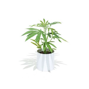 25cm Clone Pot Plant 대마초조화 대마조화 식물조화 팟플랜트, 화이트, 1개