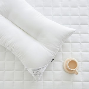 아이르 구스필 경추 베개솜, 2개, 화이트