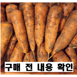 [푸드팜] 국산 제주 햇당근 흙당근 사이즈별, 10kg (왕), 1개