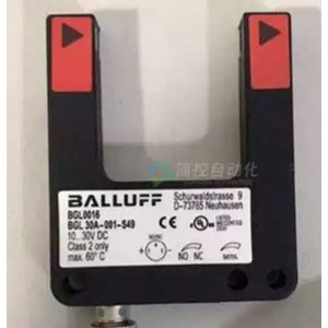 발루프 BGL0007 BGL 120A-001-S49, 1개