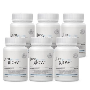 저스트글로우 파이토좀 베르베린 어드밴스드 550mg, 6개, 60정