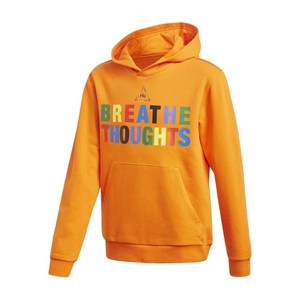 아디다스 레인보우 로고 후드 스웨트셔츠, 오렌지계열, M(KR 100)