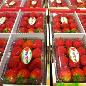 설향딸기 금실딸기 논산딸기 담양 산청딸기 새벽경매 직배송, 1개, 1kg, 한입꿀딸기(금실)