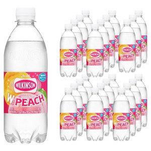 윌킨슨 탄산 더블 피치 페트