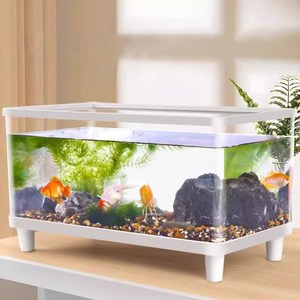 플라스틱수조대형 조경 세트를 챙기다 거북이어항, 흰색, 1개