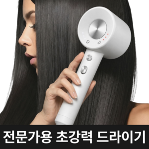 고출력 BLDC 헤어 드라이기 가정용 전문가용 미용실 드라이기