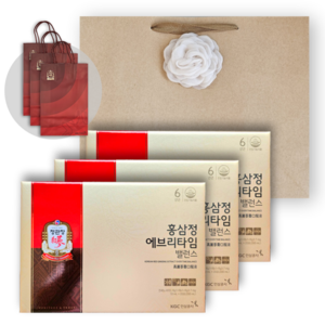정관장 홍삼정 에브리타임 밸런스 60포 600ml 수제 꽃 코사지 쇼핑백 선물세트, 1개