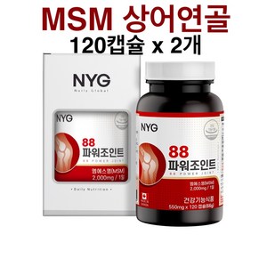 무릎 관절 연골 MSM 2000 식이유황 n아세틸 엠에스엠 콘드로이친1200 상어연골 분말 가루 캡슐 글루코사민 보스웰리아 효능 추천 식약처인증 식약청인정, 120정, 2개