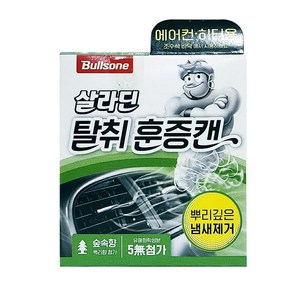 불스원 살라딘 훈증캔 차량탈취제 숲속향 본품, 65.8g, 1개