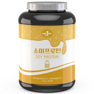 원데이뉴트리션 소이프로틴 단백질 쉐이크 초코맛