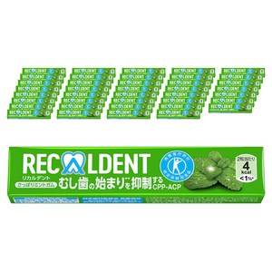 리카르덴트 리프레싱 민트 껌