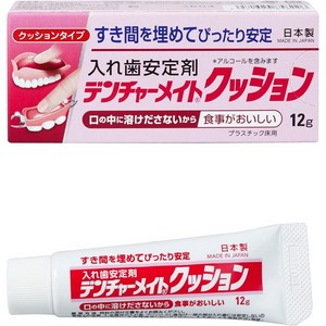 덴처 메이트 쿠션 틀니 안정제 쿠션 타입 12g SB-012, 12ml, 1개