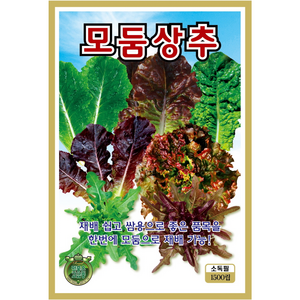 모둠상추씨앗 1500립 혼합상추, 1개