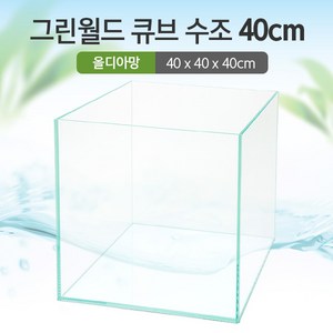 그린월드 40 큐브 수조 (올디아망) (40x40x40)+우레탄매트서비스, 1개