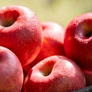 산지직송 고당도 햇 홍로 빨간사과 가정용, 1개, 혼합 2kg(혼합과)