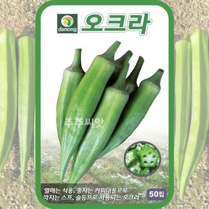 다농 오크라 씨앗 50p, 1개