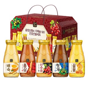 해태htb 몸에좋은 음양오행 건강음료 선물세트, 180ml, 20개