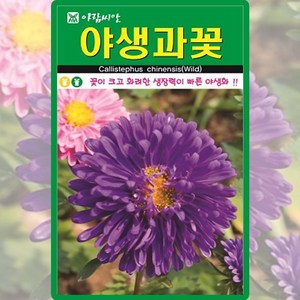 아람종묘 야생과꽃 씨앗 1000립 과꽃씨 야생화 종자, 82. 야생과꽃 1000립, 1개