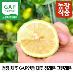 제주 GAP인증 제주레몬생과 제주그린레몬 제주청레몬 제주도산레몬 국산제주레몬 제주산생레몬 제주레몬생과 제주도친환경레몬 제주레몬gap 제주햇레몬 제주왕레몬 제주노란레몬, 1개, 무농약 제주레몬 1kg