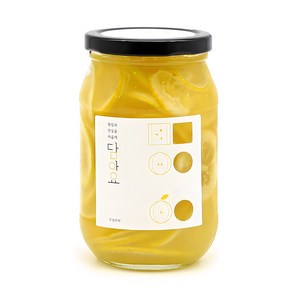 담아요 수제 레몬청, 540g, 1개