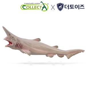 컬렉타 마귀 상어 (고블린 상어), 1개