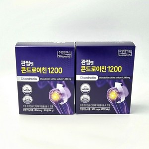 관절엔 콘드로이친1200 900mgX60정/ 2박스, 60정, 2개