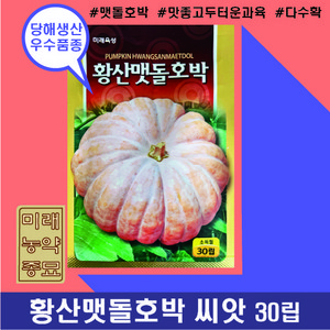 황산맷돌호박 씨앗(30립)- 맷돌호박 늙은호박 촌호박, 1개