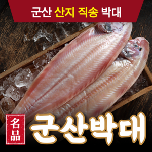 [당일출고] 군산 반건조 박대 서대 구이용 조림용 40cm내외 대/특대/왕특대 산지직송 설 추석 명절 부모님 선물세트, [대] 28-32cm, 10마리