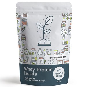 푸른빈 WPI 분리유청단백질 분말 가루, 500g, 1개