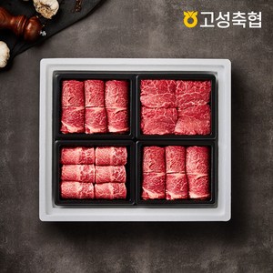 [고성축협]한우 1++등급 구이 선물세트 1.4kg(등심400g*2팩 안심300g 특수부위300g), 단품