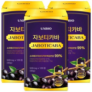 [정품] 자보티카바 Jaboticaba 정, 120정, 3개