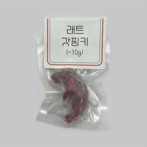 냉동 래트 레트 렛 1마리 [갓핑키] ~10g (진공포장), 1개, 5g