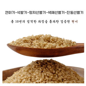 [24년산] 삼광 현미 10kg 국내산 단일품종(GAP인증시설 도정)세종라이스 정미소김씨, 1개