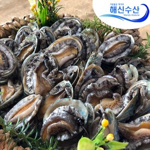 해신수산 라면전복 40~70미 1kg_꼬마전복, 1kg, 1개