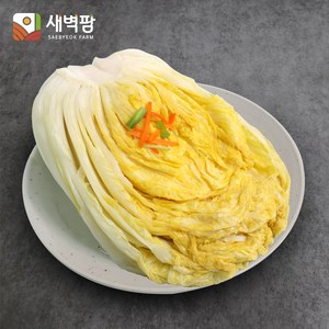 새벽팜 김치 수입 백김치 중국산김치 대용량 도매 업소용, 10kg, 1개