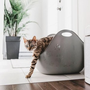 리터락커 리터박스 고양이 화장실