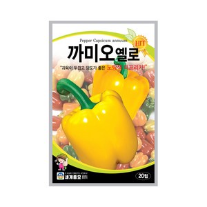 까미오엘로 20립 / 파프리카씨앗 노란파프리카 과일채소 씨앗 열매채소 씨앗, 1개