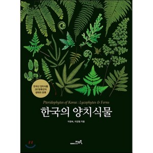 한국의 양치식물 한국의양치식물