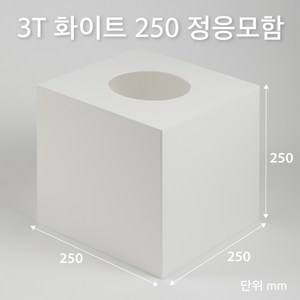 조이사인 정사각 응모함 250x250 / 두께3mm 투표함 모금함 아크릴상자 매장/진열용품, 정응모함 250*250/3T 화이트 [J2503EW]