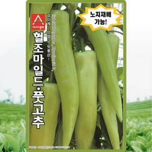 아시아종묘 고추씨앗종자 혈조마일드(10립), 1개