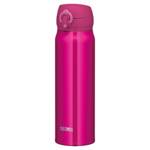 써모스 진공 단열 휴대 머그 보온 보냉병 JNL-605