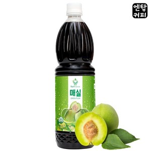 해피스위치 과일농축액 매실 아이스티, 1L, 12개